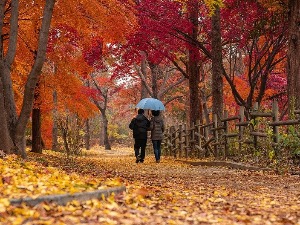 Михољско лето под знаком питања, каква нас јесен чека