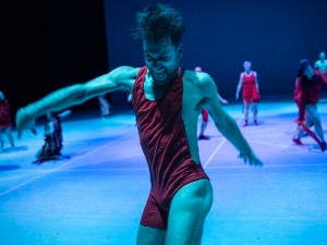 Хроника 56. Битефа