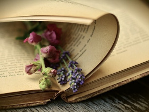  У друштву песника -10 Хаикуа Славка Седлара - Борислав Вучетић 