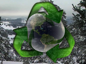 Еко минијатуре: Моменат непажње