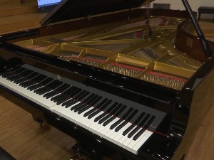 Нови Стенвеј клавир у Београдској филхармонији, први тонови посвећени Тасовцу