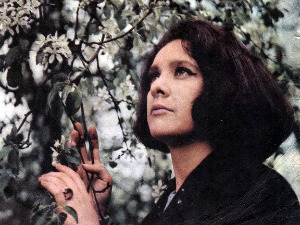 Портрет - Лола Новаковић