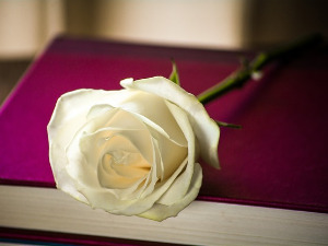 	У друштву песника - Песме Џона Китса - Жарко Обрачевић