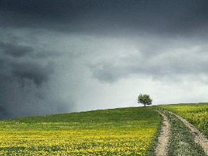 Променљиво облачно и ветровито, температура до 21 степен