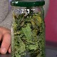 Чудотворни гавез и како да вам помогне у зацељивању рана и костију
