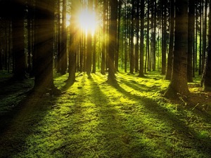 Јутро хладно, дан сунчан – температура до 24 степена