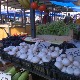 Зашто је само у продавницама безбедно куповати самоникле гљиве