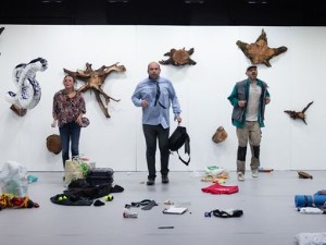 56. Битеф: Кризе