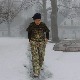 Цена свега