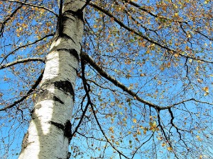Ведро до среде, са Медитерана стиже топлији ваздух