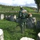 Ристић: Однос према местима страдања застрашујући, деценијама смо неговали културу заборава 