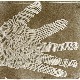 Свет фотографије: Пионири фотографије, 2-12