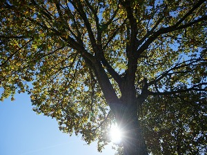 Сутра прекид топлог ваздуха са севера Африке, каква нас зима очекује