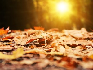 Михољско лето се не предаје, данас до 24 степена