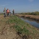 Ко је крив што воде нема у панчевачком Дунавцу, угрожене врсте мењају станиште