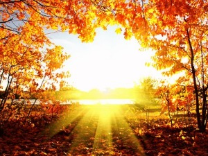 Сунчано и топло до краја месеца – данас 23 степена