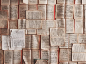 	У друштву песника - Песме Бранка Хофмана - Жарко Обрачевић