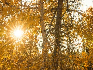 Дужи сунчани интервали после умереног наоблачења, температура до 27 степени