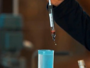 Како да српска препеченица освоји и светска тржишта