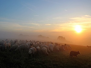 После магловитог јутра биће и сунца, данас до 22 степена