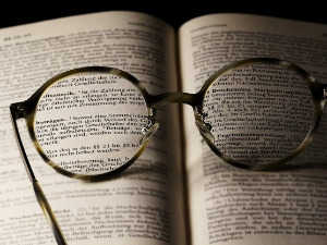 У друштву песника - Песме јапанског песника Мацуа Баша - Предраг Ејдус