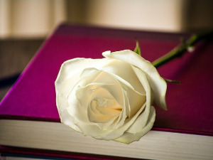 У друштву песника - Песме Мирослава Антића - Иван Јагодић 