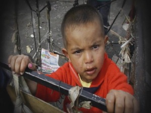 Приступачан програм - Грађанин (СЗЈ)