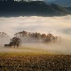 Јутро магловито, током дана облачно уз слабу кишу – температура до 19 степени