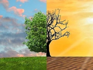 Имамо ли времена? 