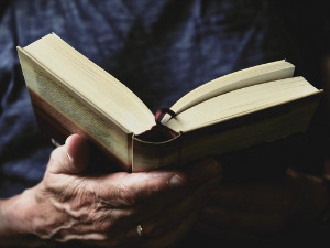 	У друштву песника - Стихови индијског песника Видја Патија - Снежана Никшић, Бранко Вујовић 