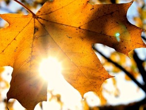 Сунчано и топло после јутарње магле – до 20 степени