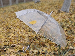 Понегде слаба киша, на високим планинама и пахуље - поподне разведравање