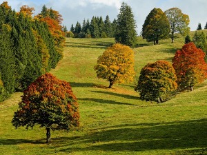 За нијансу топлије, највиша дневна температура 18 степени