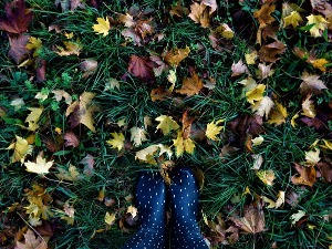 Облачно и кишовито широм Србије, снег могућ на планинама