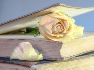 	У друштву песника - Стихови Љубише Јоцића - Љубиша Јоцић 