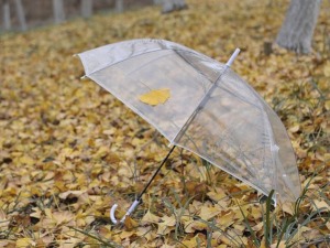 Олујна кошава, у Банату орканске јачине – киша од средине дана