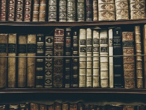 	У друштву песника - Стихови о Београду - Данило Срећковић и Стојан Дечермић