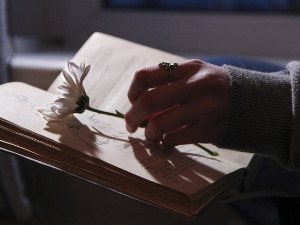 	У друштву песника - Стихови Тина Ујевића - Стојан Дечермић