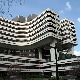 Пола века од прве трансплантације ћелија хематопоезе на ВМА