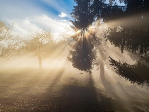 Слаб мраз и местимично магла, током дана облачно и суво