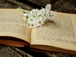 У друштву песника - Две песме Драгомира Брајковића - Петар Банићевић 