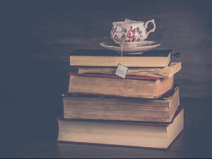 	У друштву песника - Поема Александра Блока - Неда Спасојевић,Бранко Вујовић 