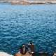 Планински морепловац