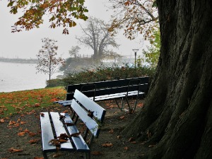 Облачно и хладно, јак ветар у источној Србији