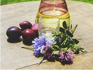 Шљивовица уписана на Унескову Репрезентативну листу нематеријалног културног наслеђа човечанства