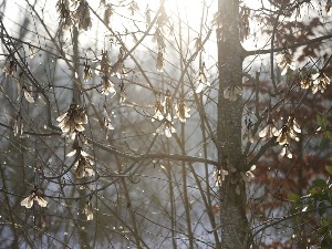 Облачно са кишом, суснежицом и снегом – температура до девет степени