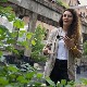  Документарне ФусНоте: Историја у коцки шећера