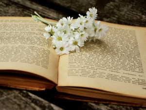  У друштву песника - Стихови Милована Данојлића - Данило Срећковић 