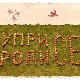 Уприродисе  - Зимско храњење птица