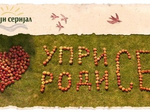 Уприродисе  - Зимско храњење птица